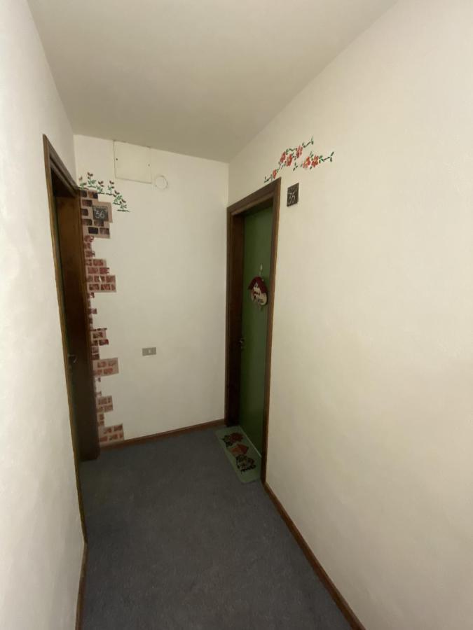 Casa Lola Daire Falcade Dış mekan fotoğraf
